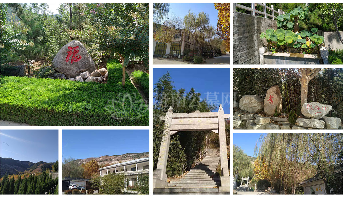 福舜园介绍.jpg 福舜园介绍.jpg