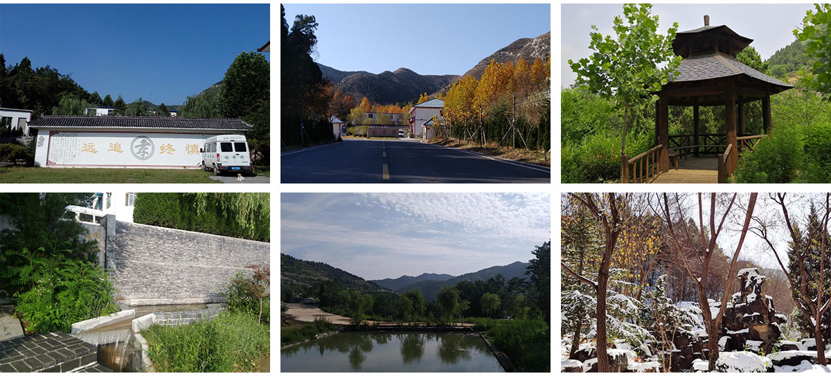 福舜园公墓介绍 福舜园公墓介绍