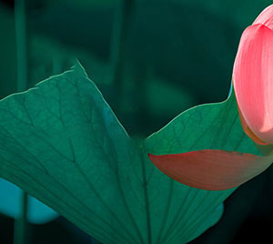 ​ 关于合葬墓的仪式、流程详解