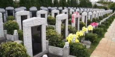 购墓流程是怎样的