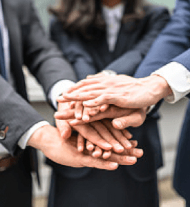 根据您的需求为你定制选墓方案