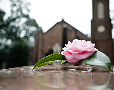 多种葬礼鲜花、随葬用品供您选择