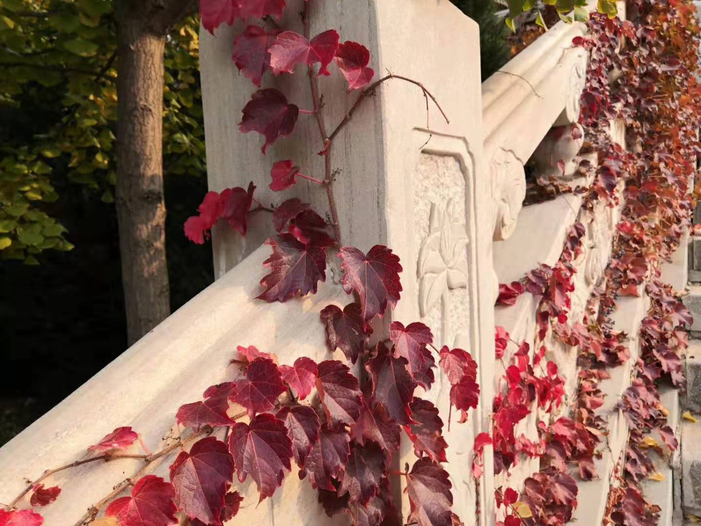 济南墓地落葬注意事项