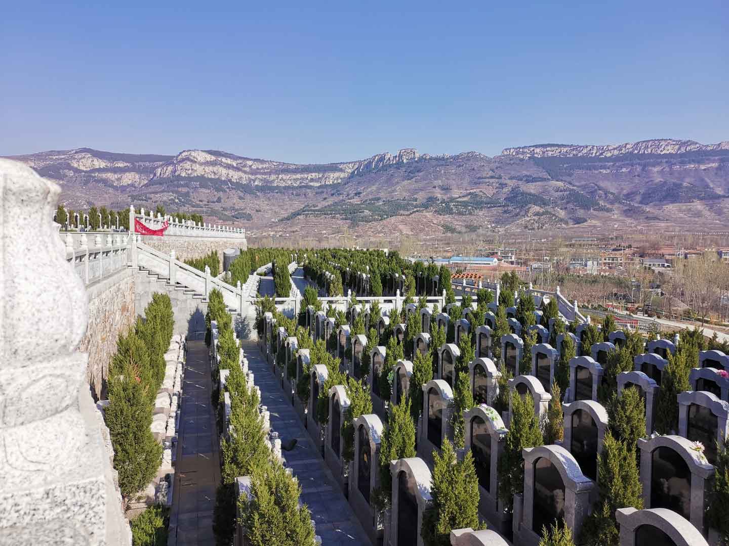 济南生态葬-树葬