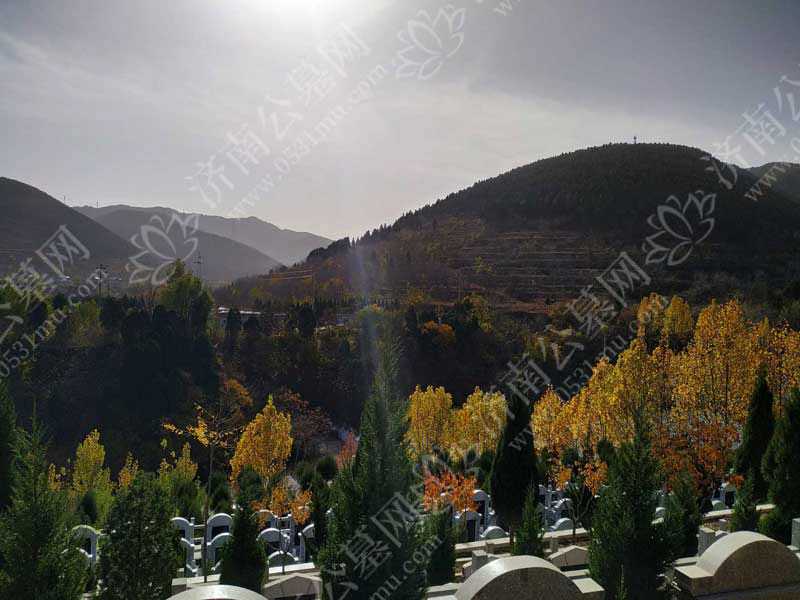 迁坟如何选择吉日，迁坟注意事项