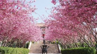 选择济南公墓墓地也需要注意内外环境