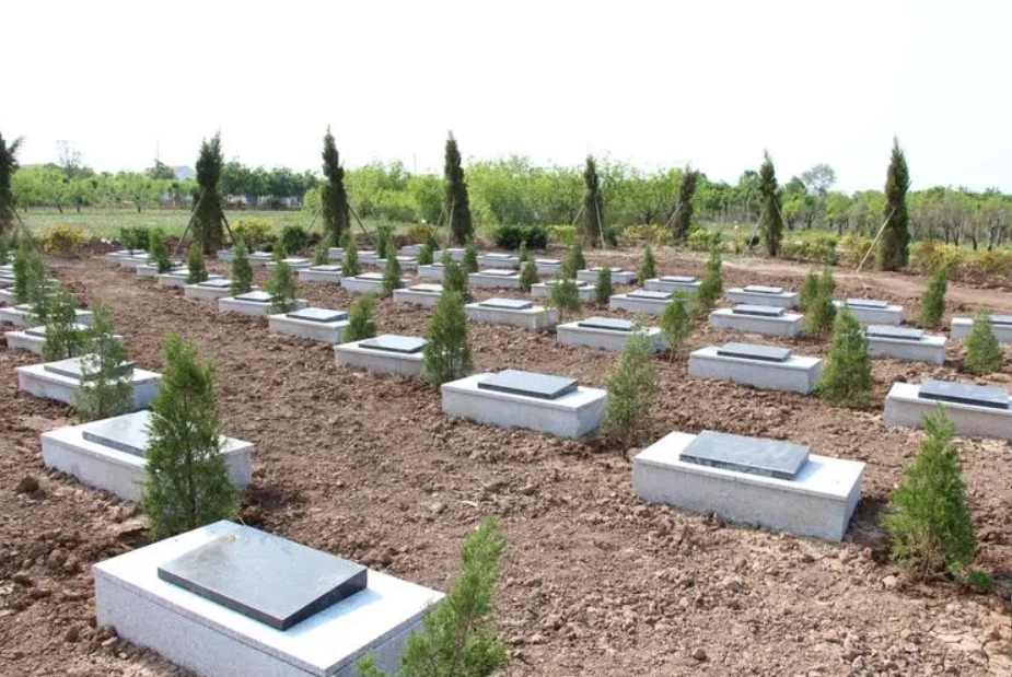 因墓地内的树木属于凶相，所以不加以砍伐的话会有问题