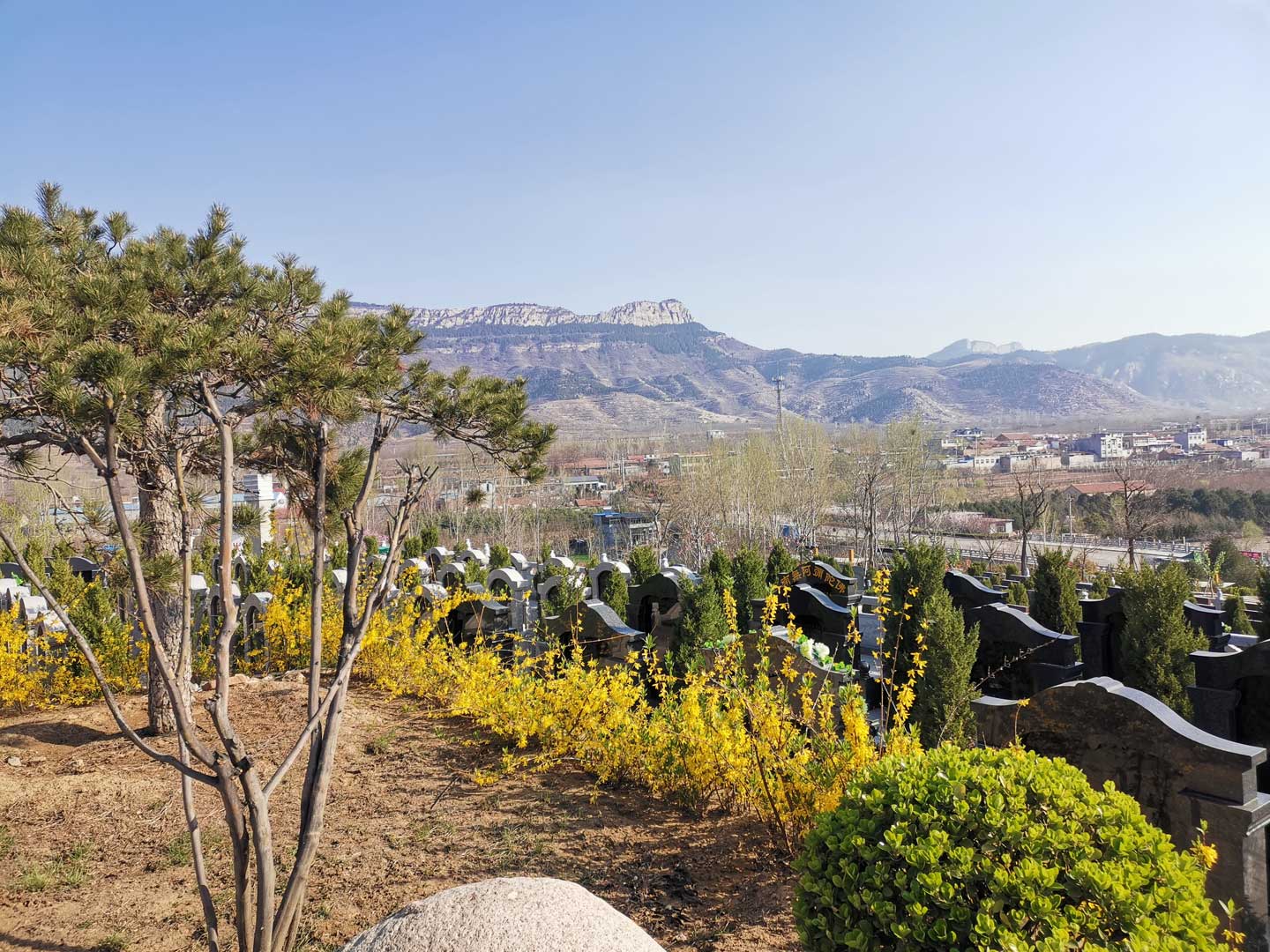 购买墓地前要了解哪几个方面