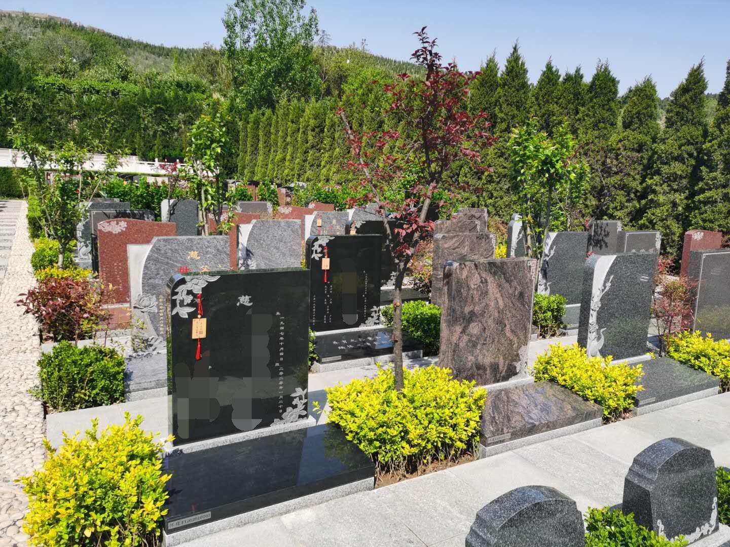 墓地绿色环保的理念和服务