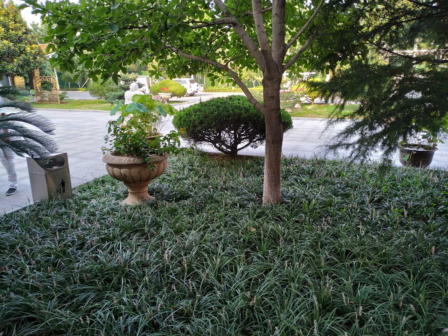 墓地的几种葬式种类