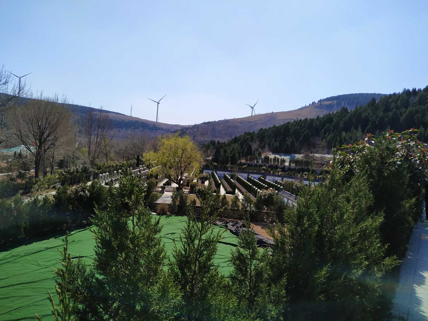 济南市开展殡葬生命教育的动因和思路