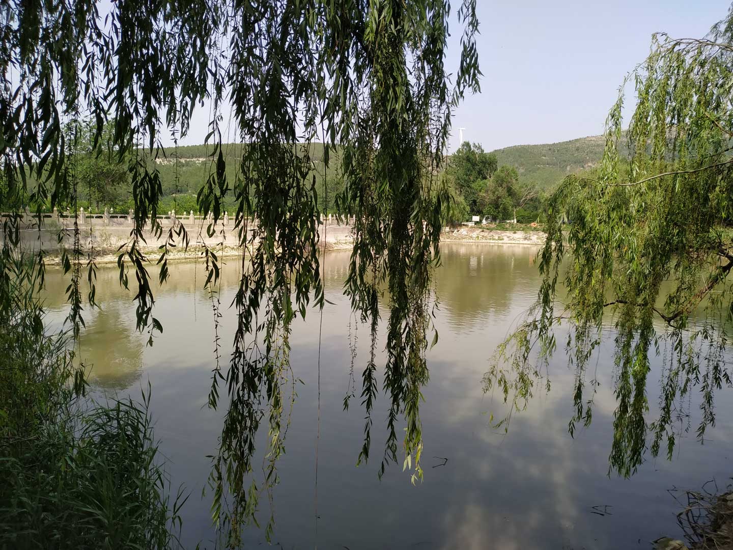 丧葬文化教“孝子”