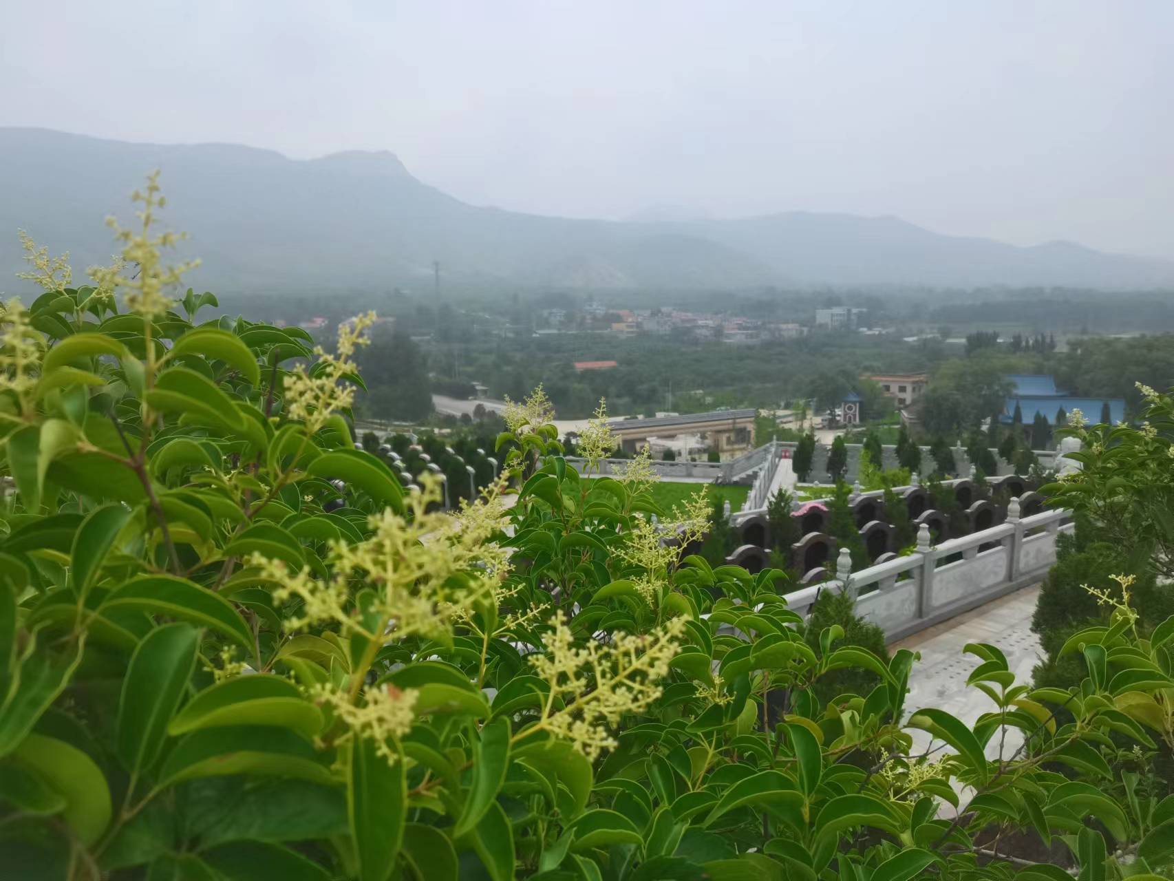 传统殡葬与风水