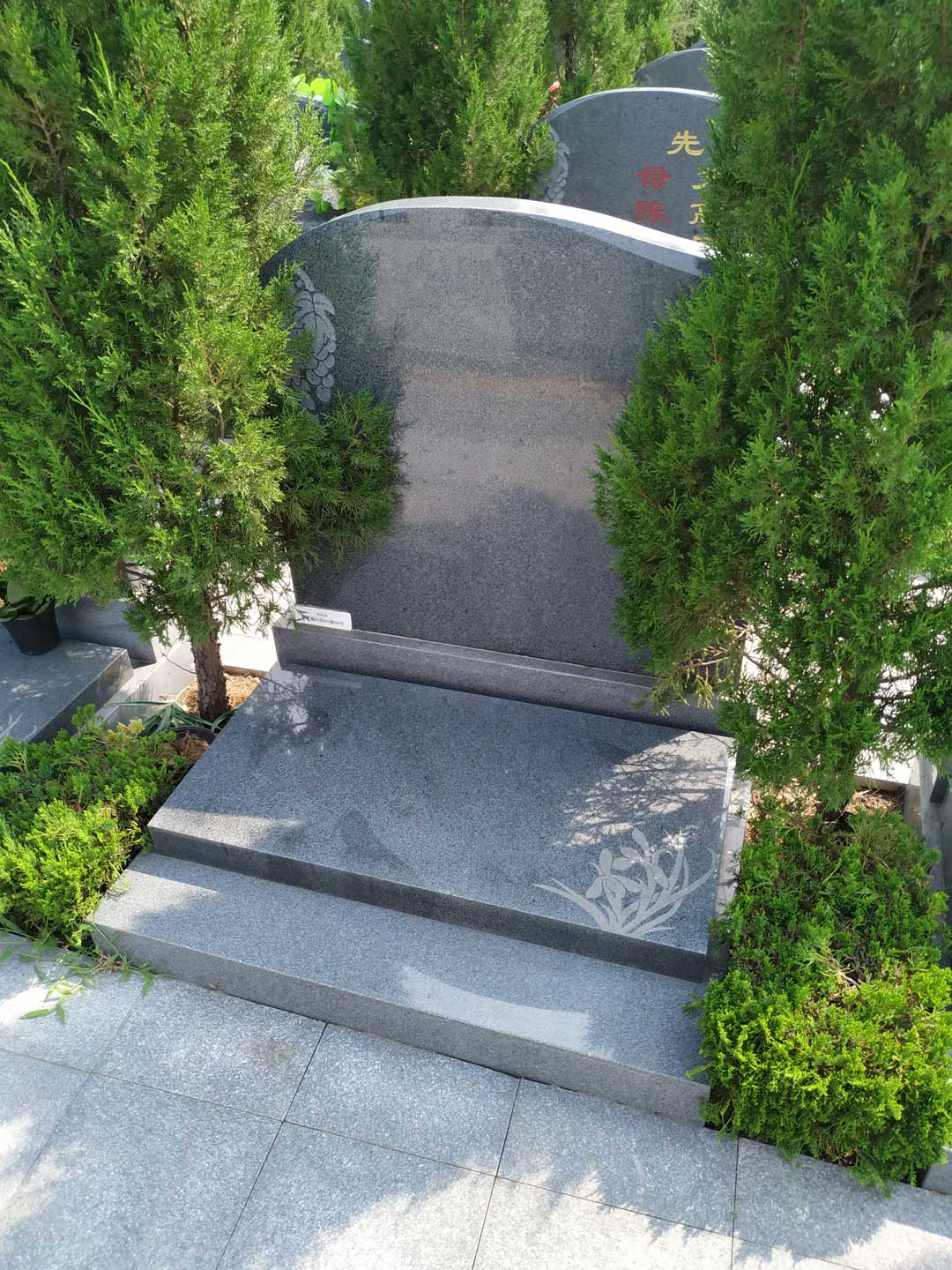 墓地旁边种什么树比较好？有什么讲究？