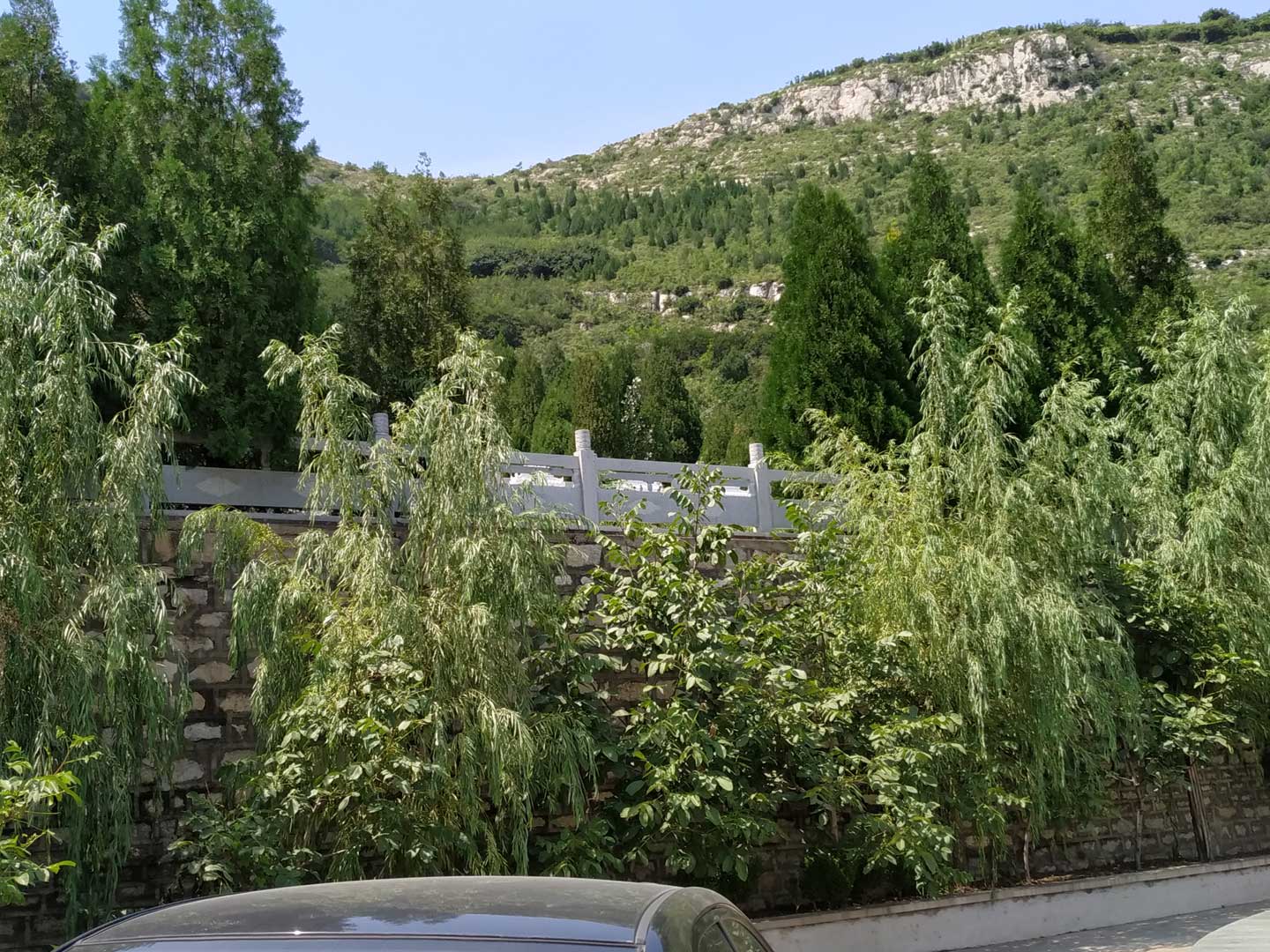 绿色、科学殡葬的原则