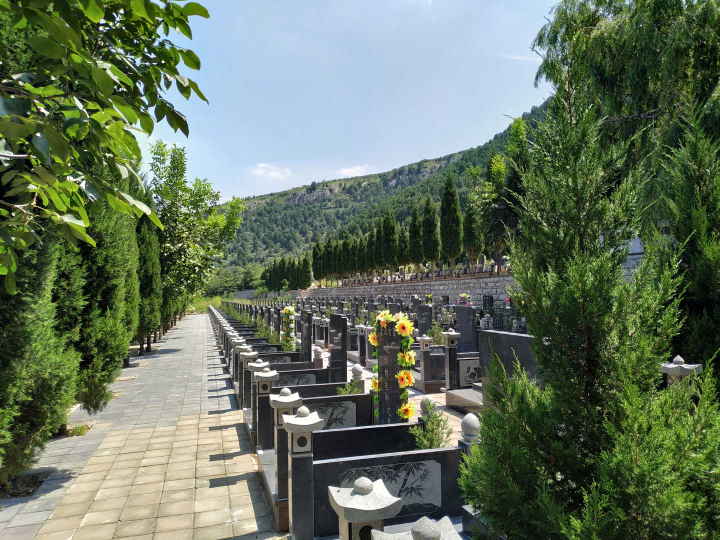 山地型墓式优化