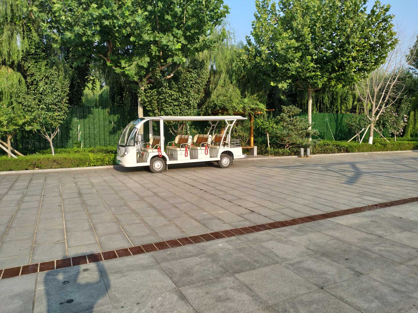 墓园适合种植的花有哪些？