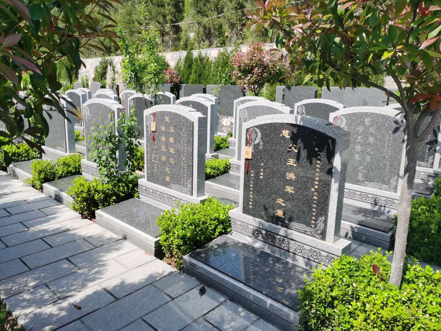 墓园适合种植什么花？