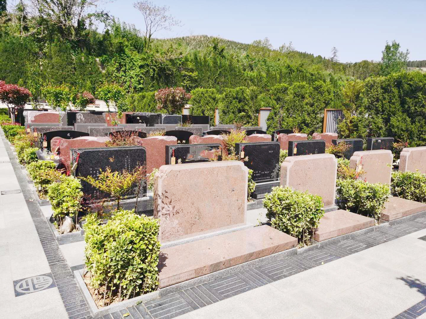 墓位到期后，骨灰会怎么处理？