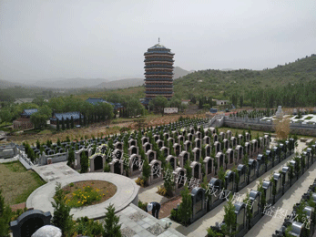 人类丧葬习俗与文明进步曲线