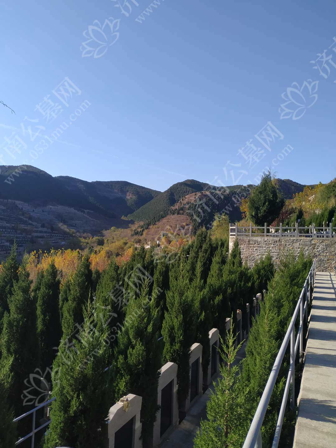 提前买墓地好吗？