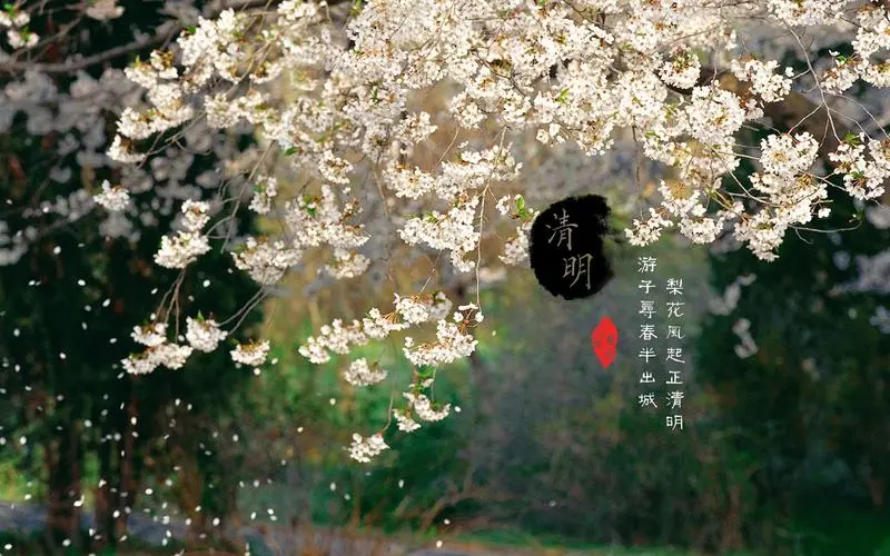 “闰二月清明不上坟，上坟祸事将临门”，这一说法是真的吗