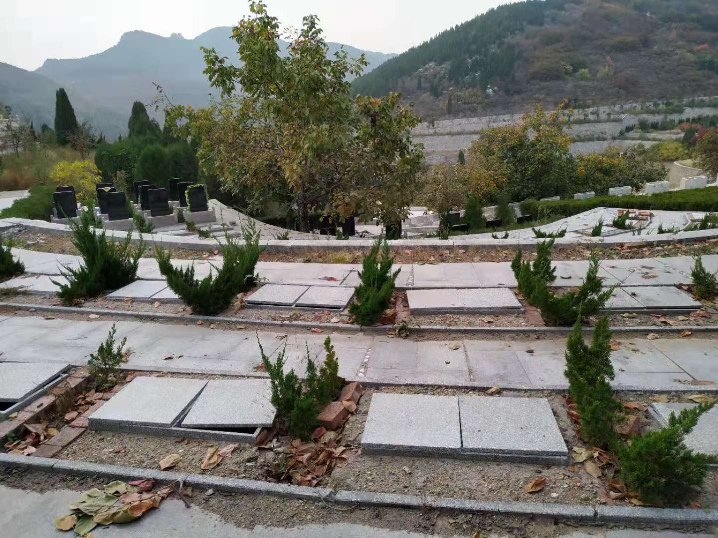 济南公墓网骨灰安葬流程