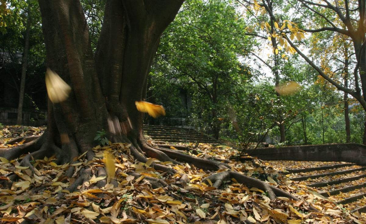 来例假能给亲人扫墓吗？