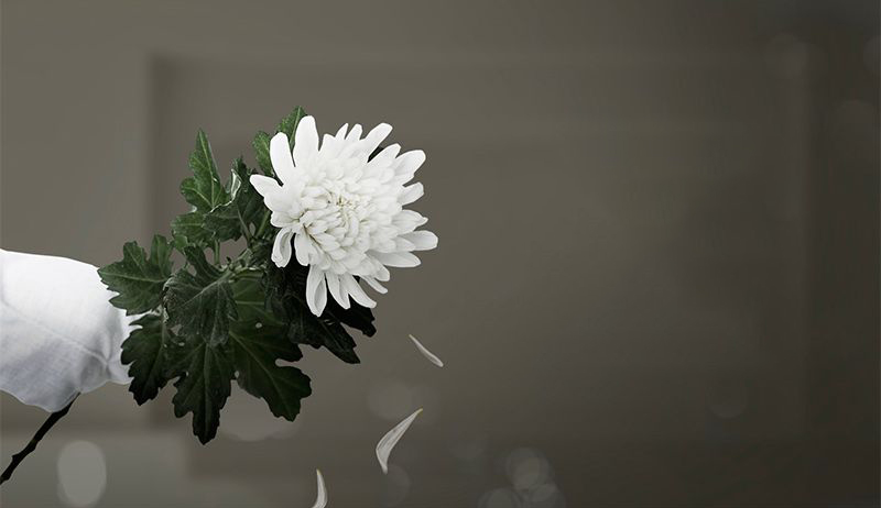 扫墓9朵菊花的寓意是什么