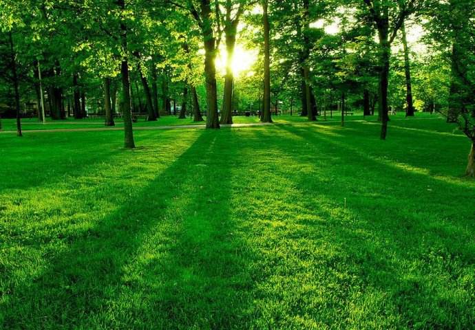 济南墓地 济南墓地