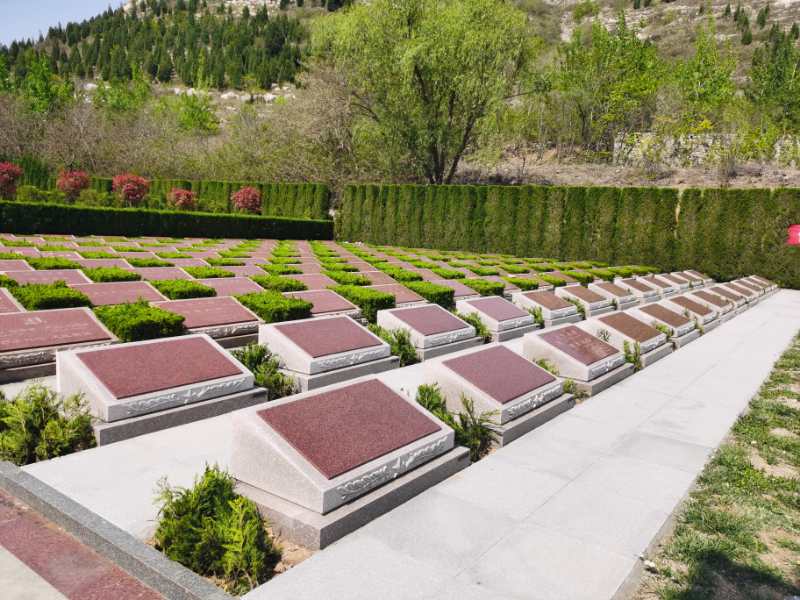 山东福寿园红星区 山东福寿园红星区