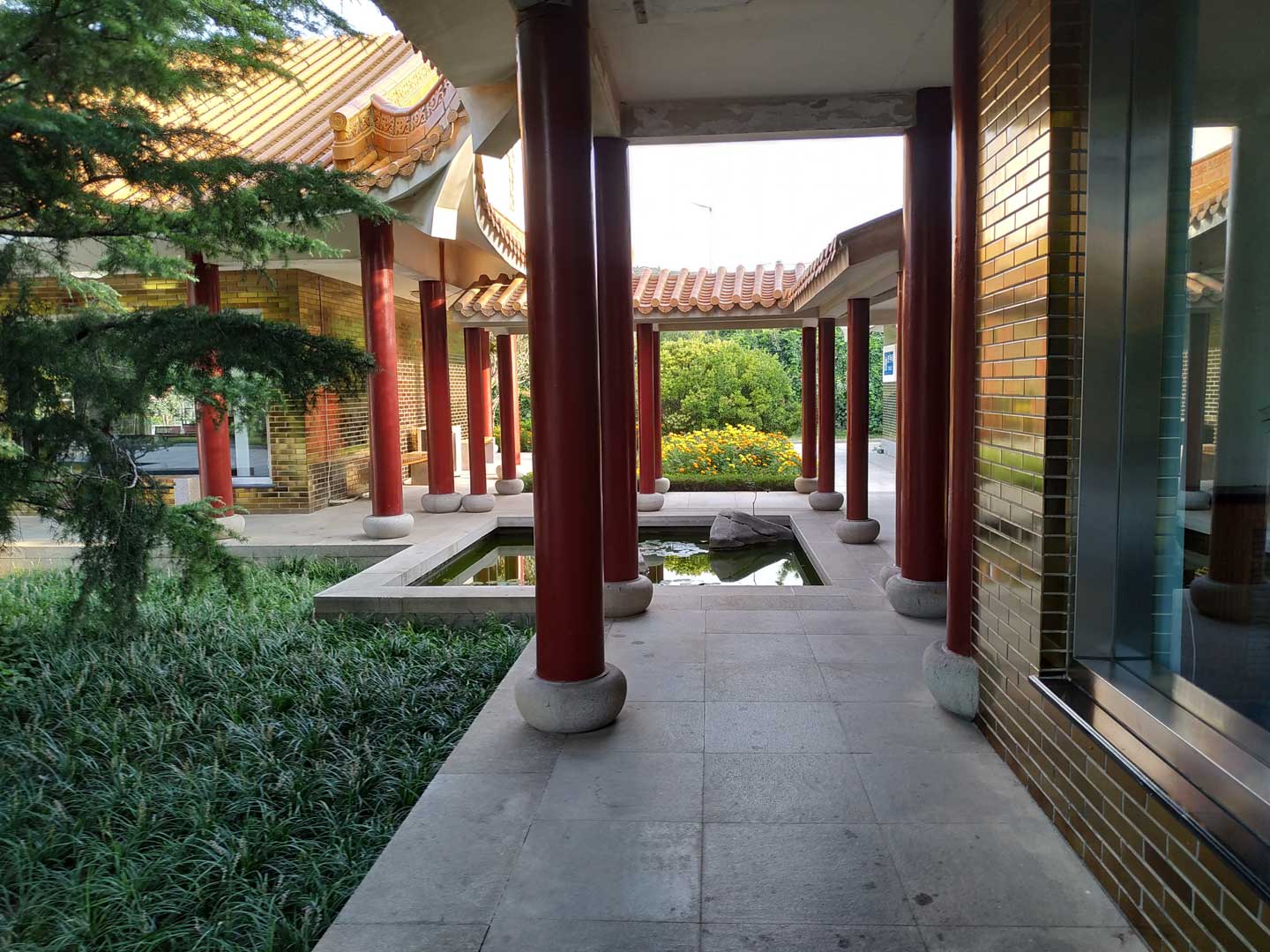 墓园适合种植的花