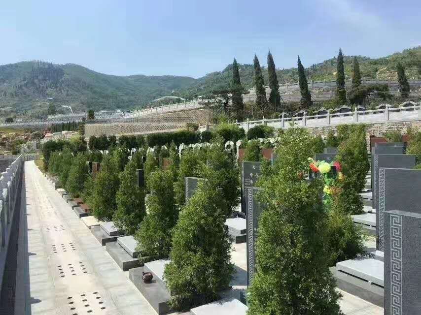 坟墓朝南风水好吗?