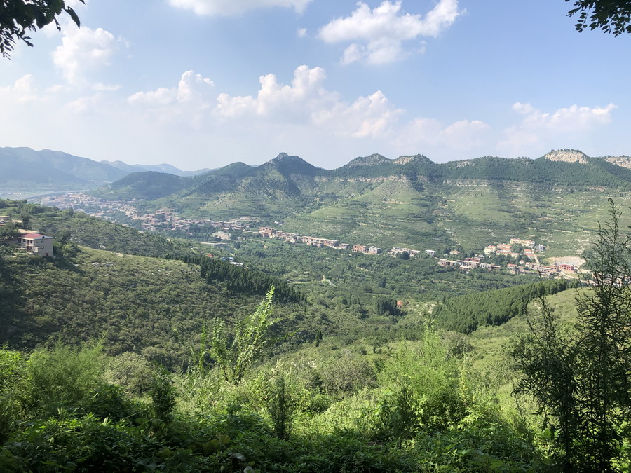 济南殡葬管理条例