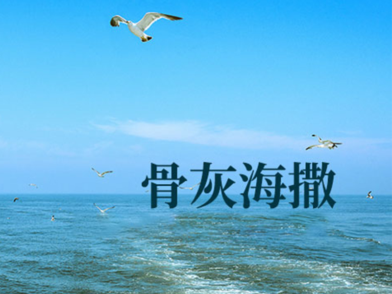 骨灰海撒