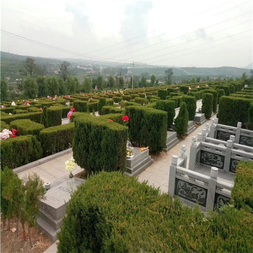 棺材里放陪葬品