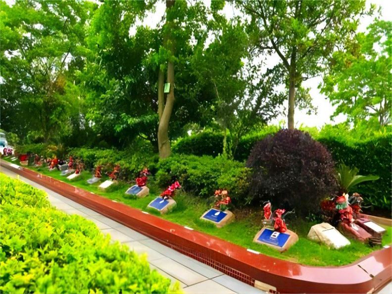 选择树葬的原因