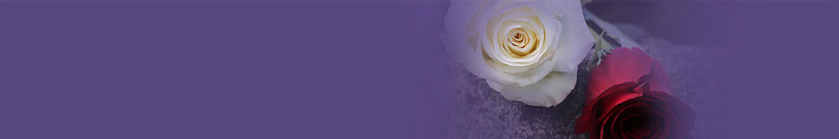  济南公墓网选墓流程