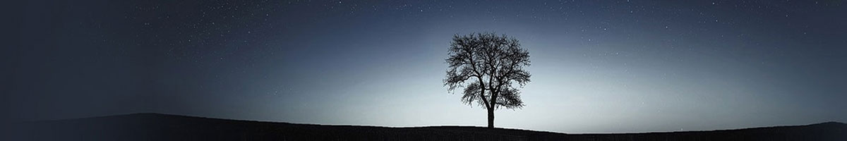  选一座好的墓型