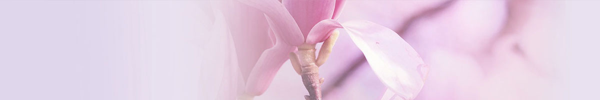  买墓地，就上济南公墓网