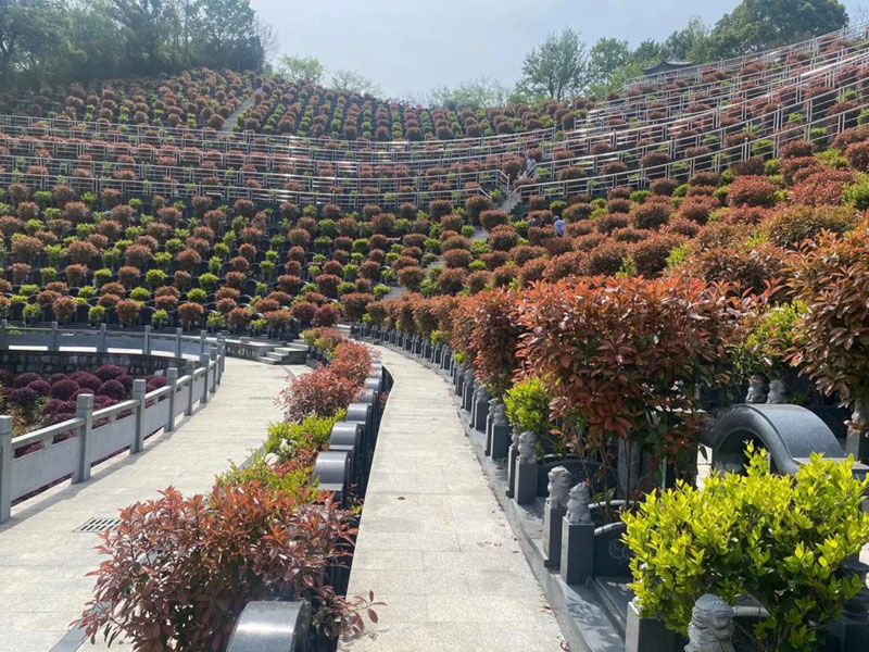 碑文更新频率与注意事项