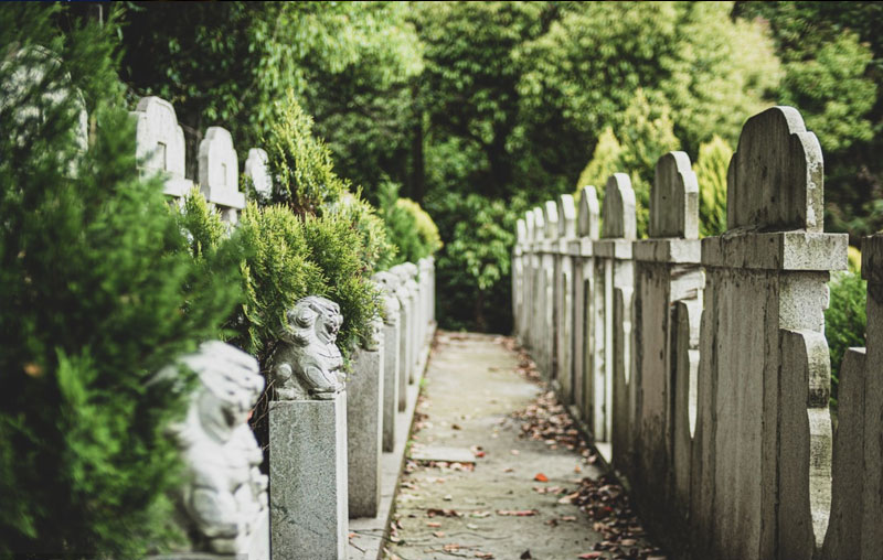 坟前植树的习俗