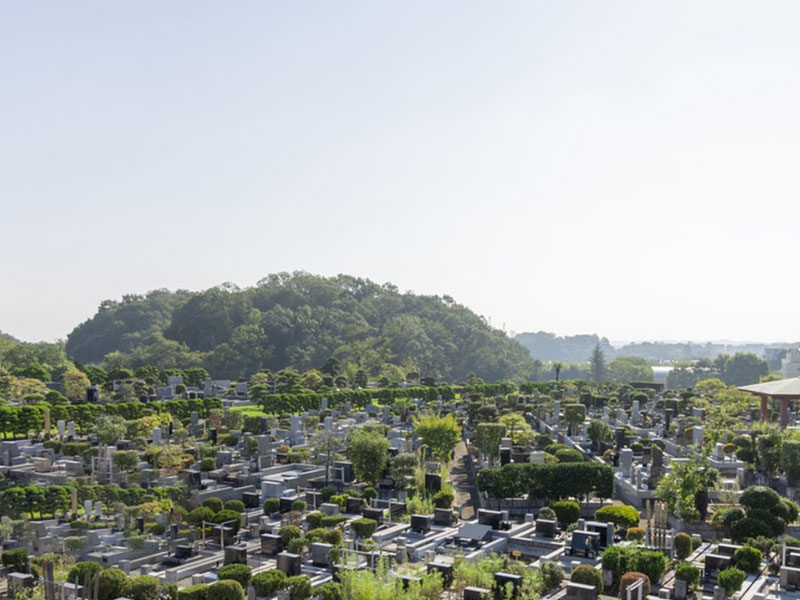 选墓地的风水要点与习俗