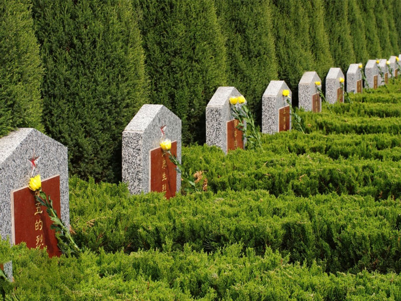 购买墓地的注意事项