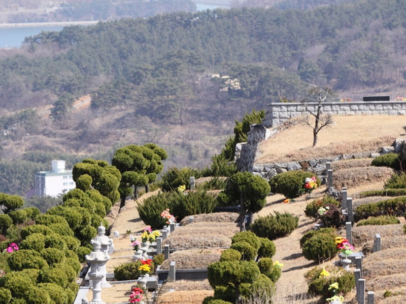 济南公墓迈入“公益化”时代