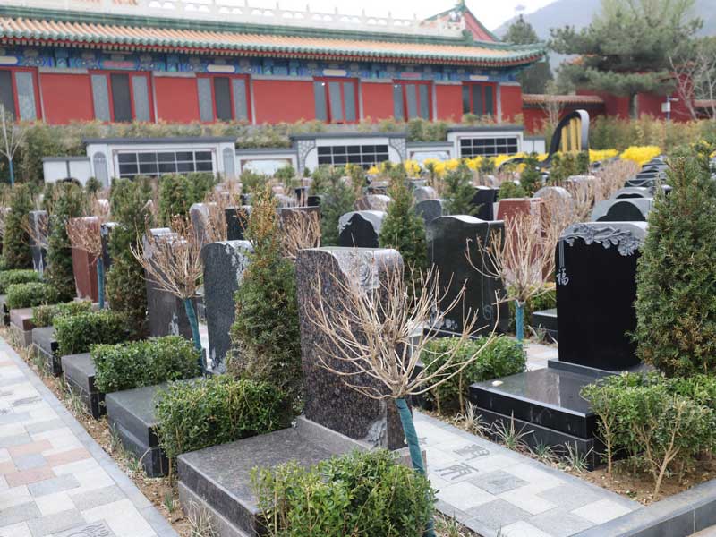 祖坟上的树什么时候砍好？时间选择与注意事项