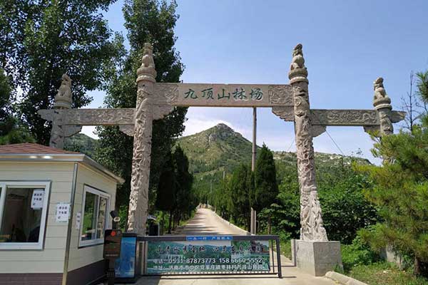 济南九顶山陵园：山水相依的四季追思之所