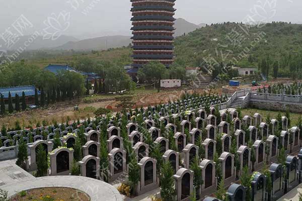 预算有限怎么选？双峰山陵园高性价比墓型挑选指南（含价格区间与避坑要点）