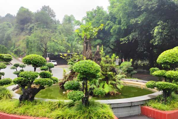 济南转山公墓值得选吗？2026年环境、交通、价格与优缺点解析
