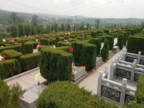 济南公墓一对一购墓顾问：专业解答祭祀习俗疑问 